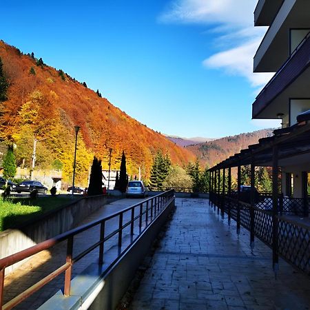 Serenity Suite Sinaia Zewnętrze zdjęcie